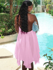 Chiffon Pleated Halter Dress