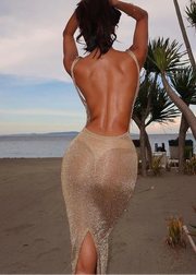 Sheer Glitter Split Dress