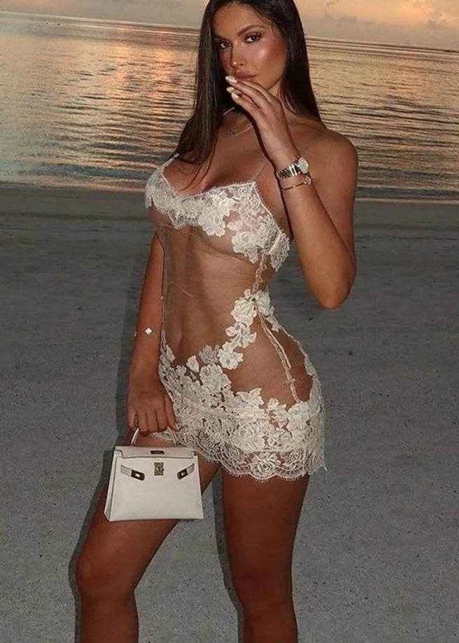 Sheer Lace Embroidered Mini Dress - Stylbelle