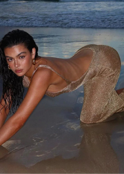 Sheer Glitter Split Dress