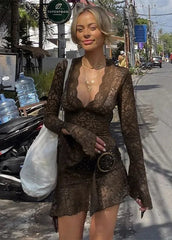 Sheer Lace Flare Sleeve Dress