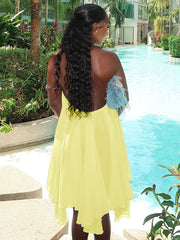 Chiffon Pleated Halter Dress